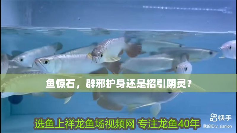 魚驚石，辟邪護身還是招引陰靈？