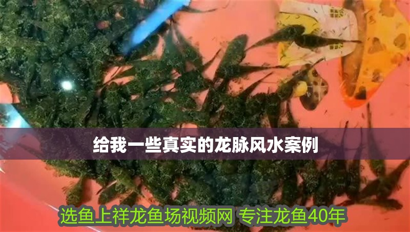 給我一些真實的龍脈風水案例