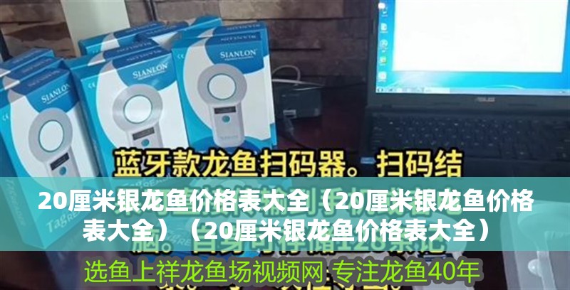 鸚鵡魚和銀龍魚混養怎樣喂食 20厘米銀龍魚價格表大全(20厘米銀龍魚價格表大全)(20厘米銀龍魚價格表大全) 銀龍魚百科 20厘米銀龍魚價格表大全(20厘米銀龍魚價格表大全)(20厘米銀龍魚價格表大全) 20厘米銀龍魚價格表大全(20厘米銀龍魚價格表大全)(20厘米銀龍魚價格表大全) 銀龍魚百科