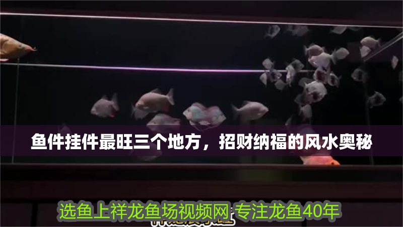 魚件掛件最旺三個(gè)地方，招財(cái)納福的風(fēng)水奧秘