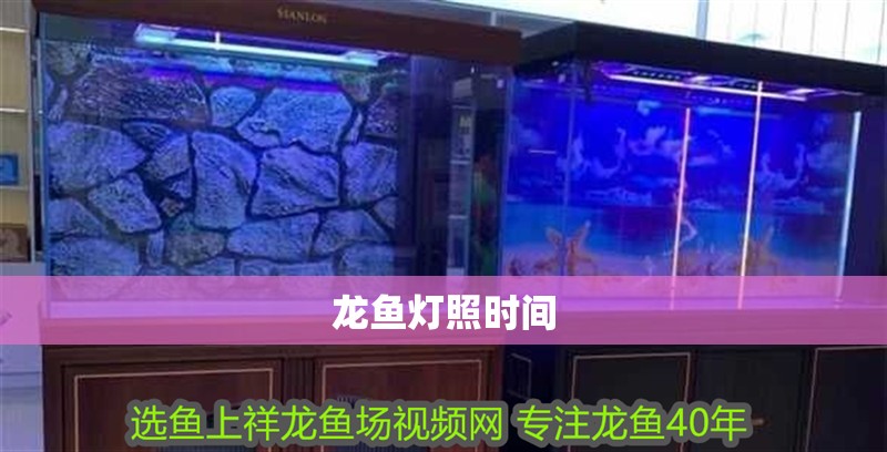 龍魚燈照時間