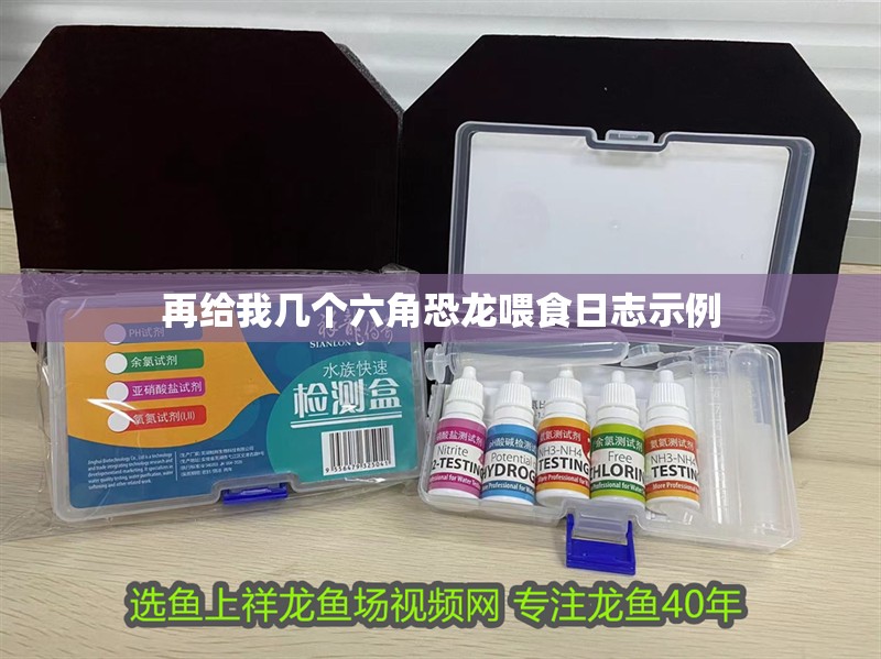 再給我幾個六角恐龍喂食日志示例