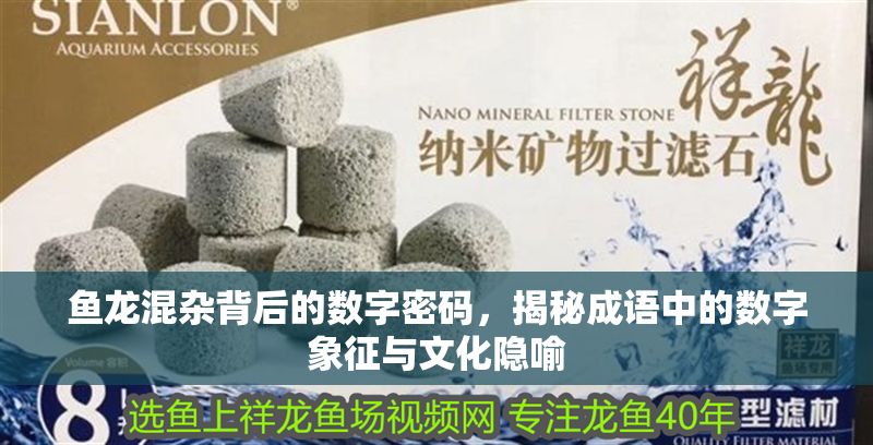 魚龍混雜背后的數字密碼，揭秘成語中的數字象征與文化隱喻