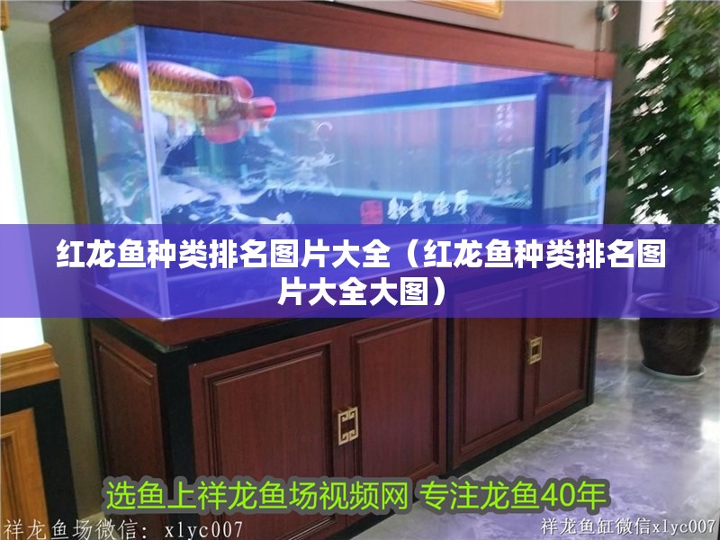 紅龍魚種類排名圖片大全（紅龍魚種類排名圖片大全大圖）