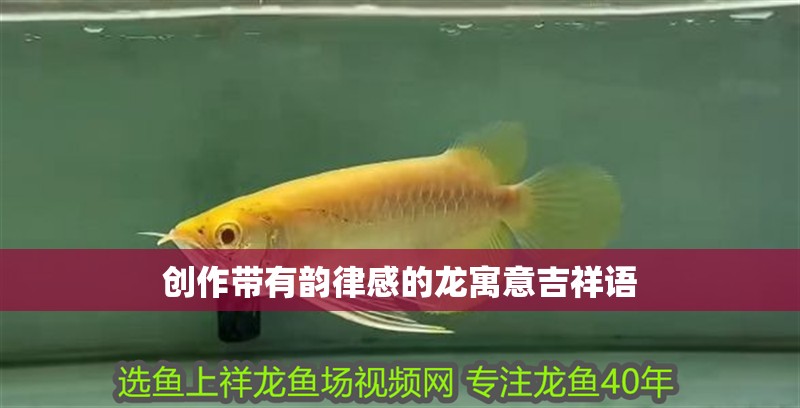 創作帶有韻律感的龍寓意吉祥語