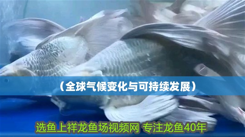 （全球氣候變化與可持續(xù)發(fā)展）