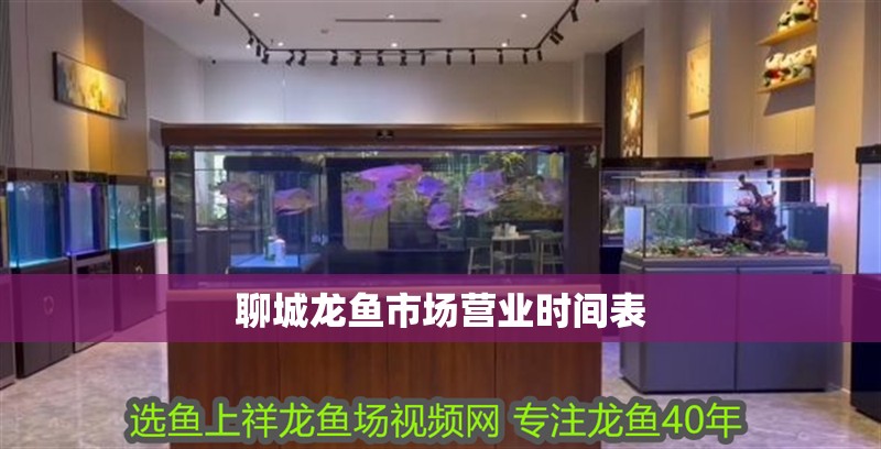 聊城龍魚市場營業時間表