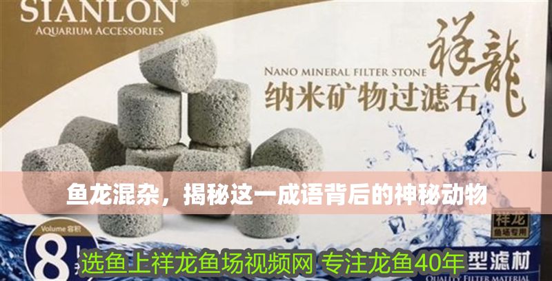 魚龍混雜，揭秘這一成語背后的神秘動物