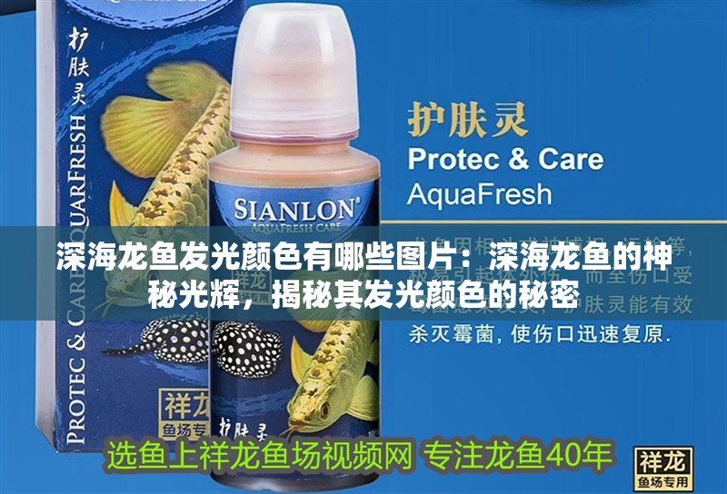 深海龍魚發光顏色有哪些圖片：深海龍魚的神秘光輝，揭秘其發光顏色的秘密