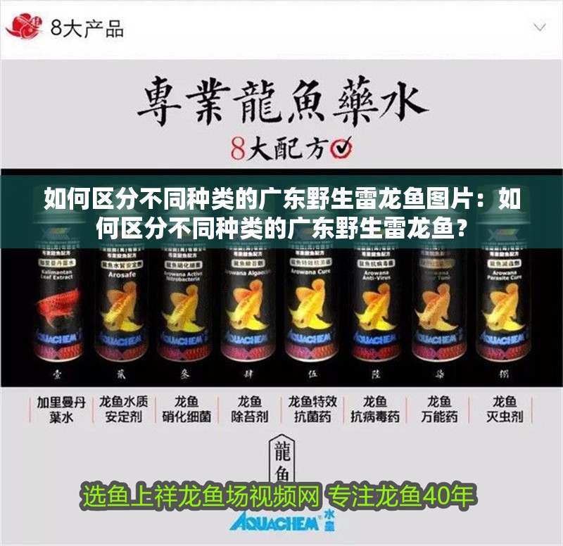 龍骨最好三個(gè)品牌