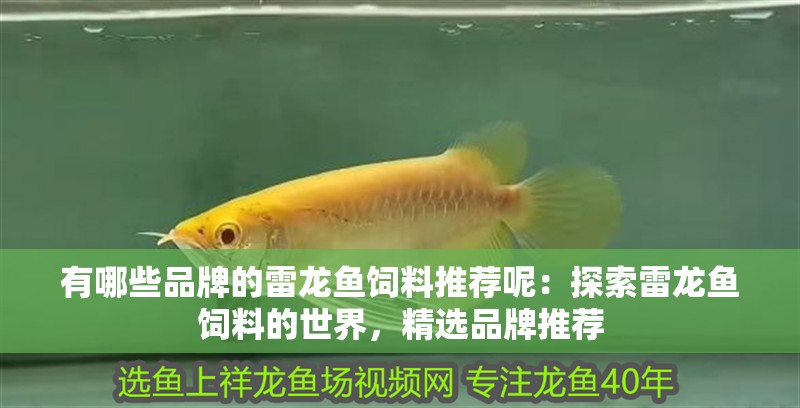 有哪些品牌的雷龍魚飼料推薦呢：探索雷龍魚飼料的世界，精選品牌推薦