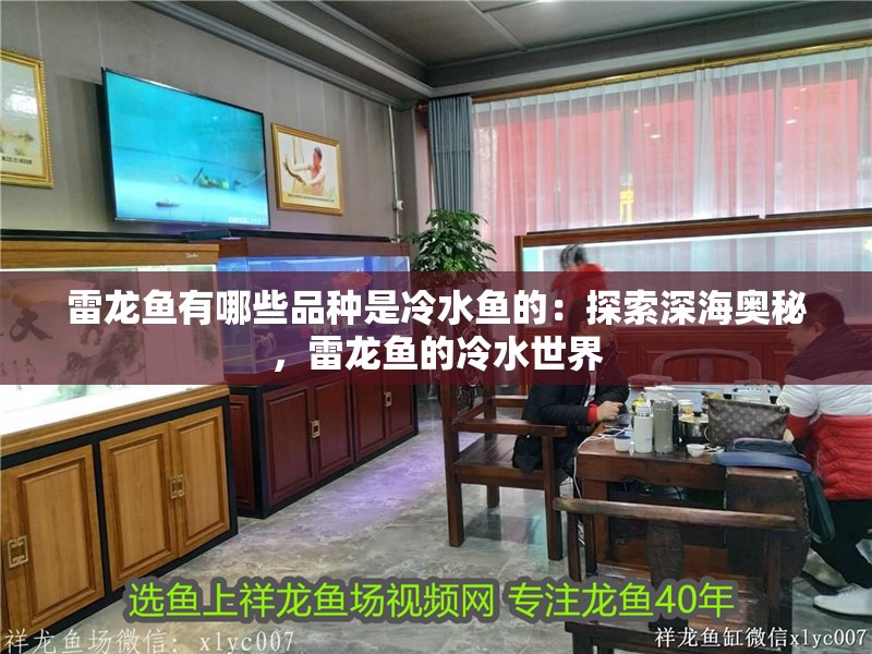 養龍魚選擇什么配魚最好看：養龍魚選擇什么配魚