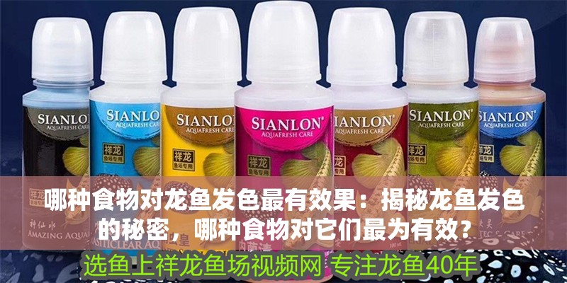 哪種食物對龍魚發色最有效果：揭秘龍魚發色的秘密，哪種食物對它們最為有效？