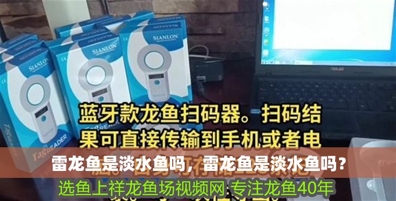雷龍魚是淡水魚嗎，雷龍魚是淡水魚嗎？ 雷龍魚是淡水魚嗎，雷龍魚是淡水魚嗎？ 龍魚百科 第2張