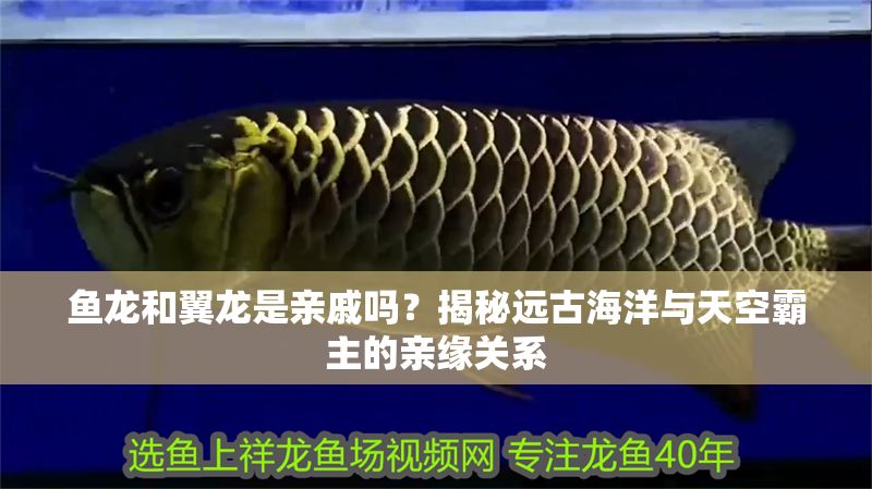魚龍和翼龍是親戚嗎？揭秘遠古海洋與天空霸主的親緣關系