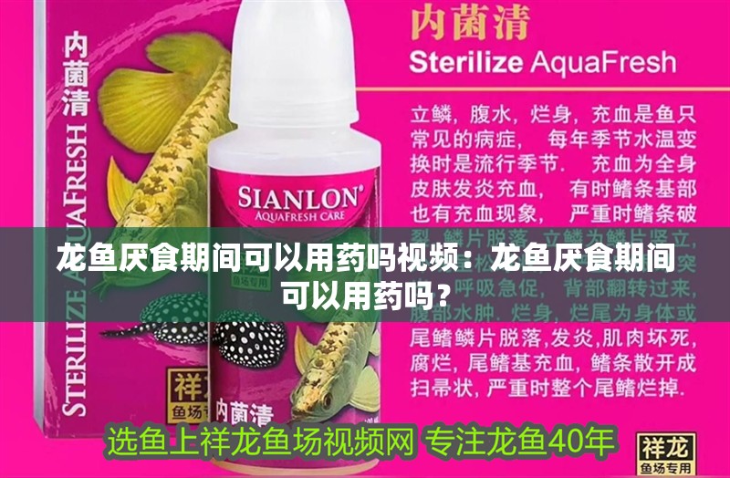 龍魚厭食期間可以用藥嗎視頻：龍魚厭食期間可以用藥嗎？