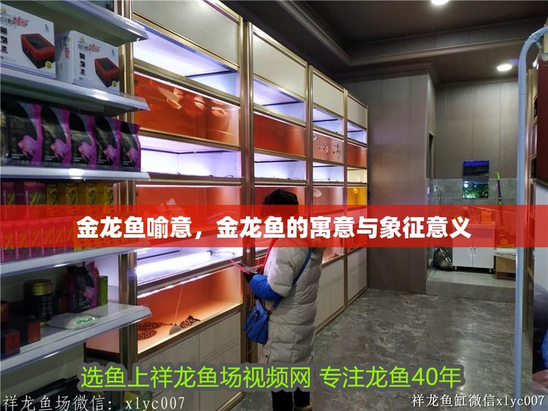 金龍魚(yú)喻意，金龍魚(yú)的寓意與象征意義