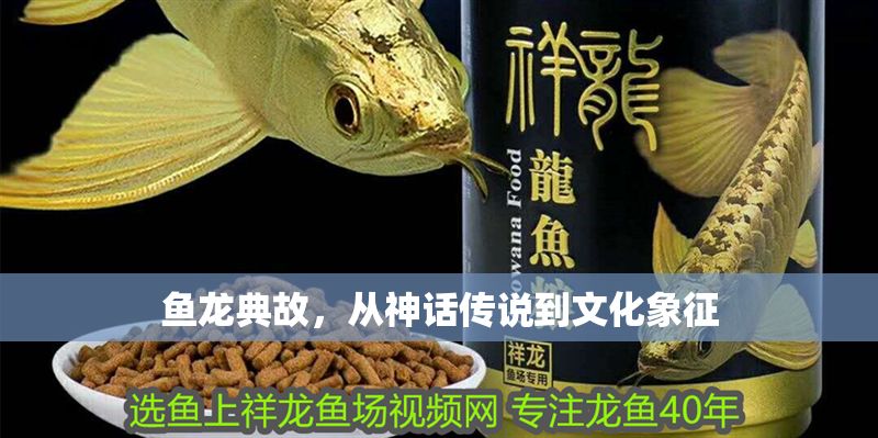 魚龍典故，從神話傳說到文化象征
