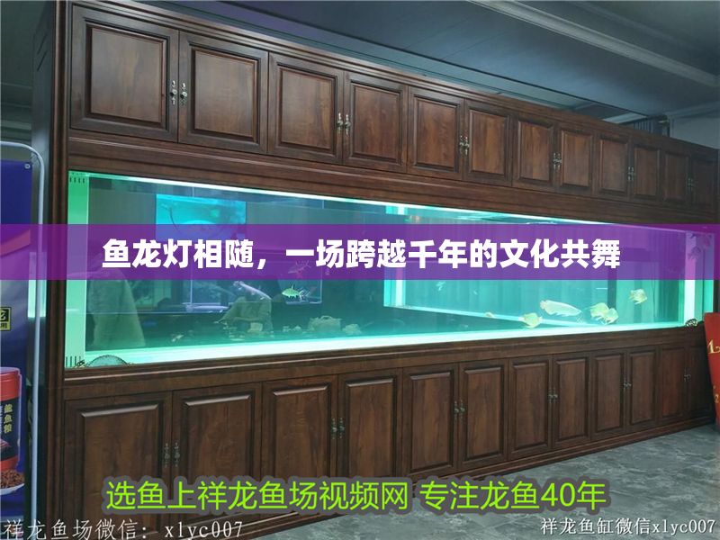 魚龍燈相隨，一場跨越千年的文化共舞