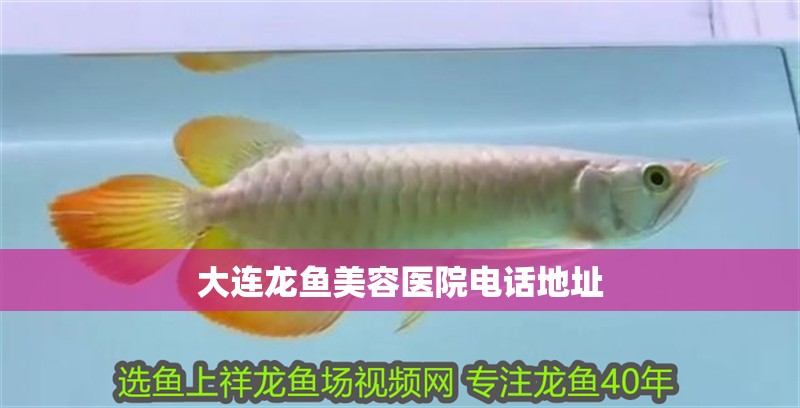 大連龍魚美容醫(yī)院電話地址
