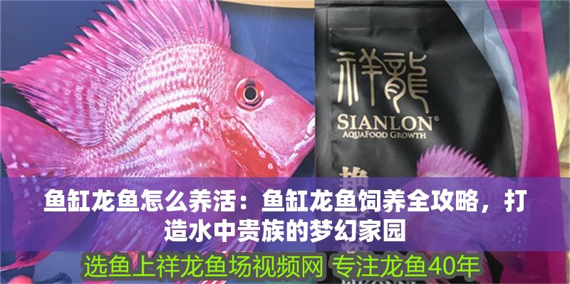 魚缸龍魚怎么養活：魚缸龍魚飼養全攻略，打造水中貴族的夢幻家園