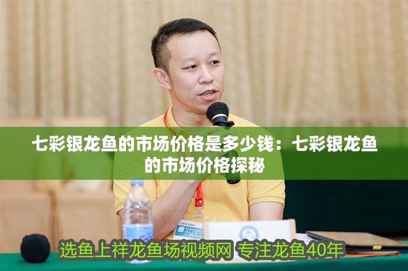 七彩銀龍魚的市場價格是多少錢：七彩銀龍魚的市場價格探秘