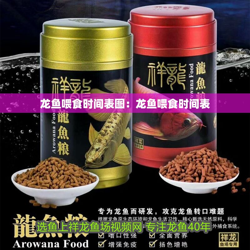 龍魚喂食時(shí)間表圖：龍魚喂食時(shí)間表
