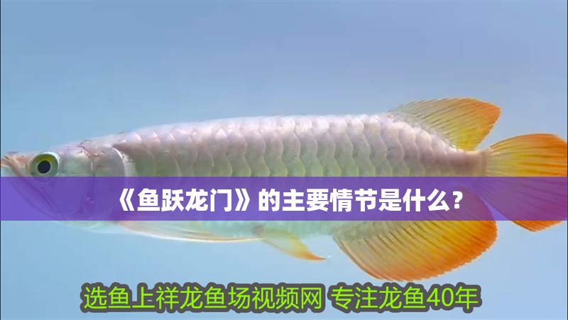 《魚躍龍門》的主要情節是什么？