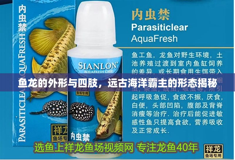 魚龍的外形與四肢，遠古海洋霸主的形態揭秘