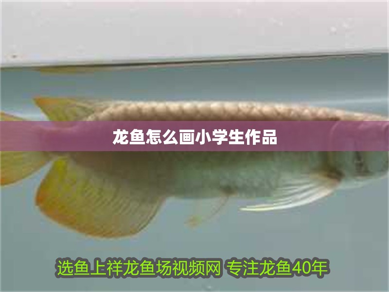 龍魚怎么畫小學生作品