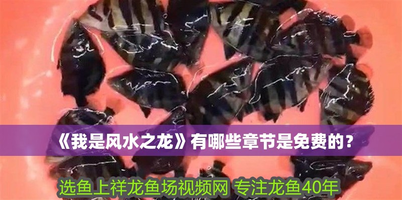 《我是風(fēng)水之龍》有哪些章節(jié)是免費(fèi)的？