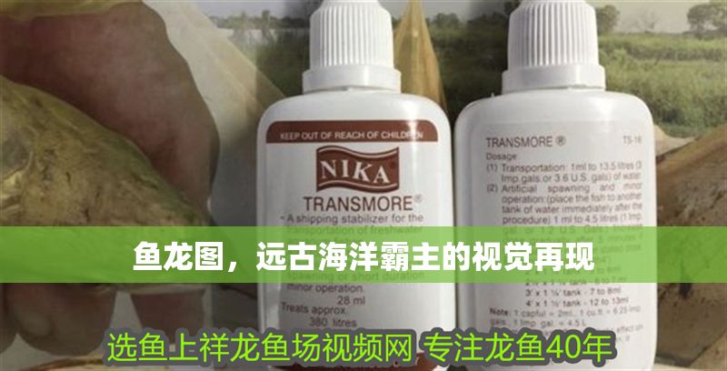 魚龍圖，遠古海洋霸主的視覺再現