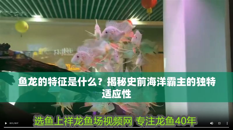 魚龍的特征是什么？揭秘史前海洋霸主的獨特適應性