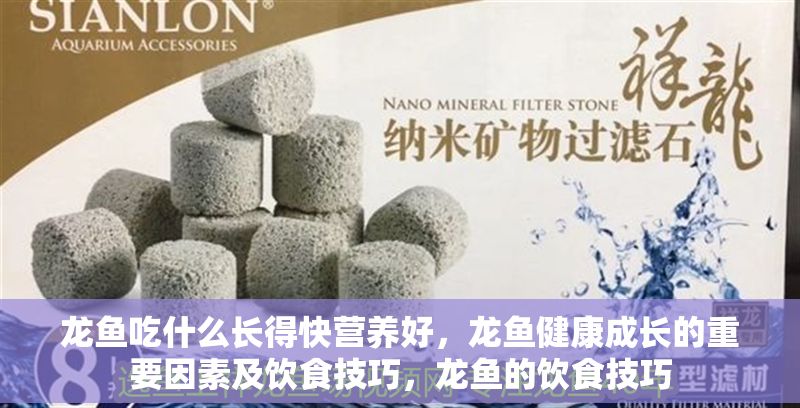 龍魚吃什么長得快營養好，龍魚健康成長的重要因素及飲食技巧，龍魚的飲食技巧