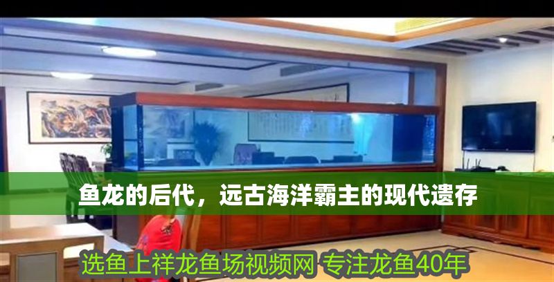 魚龍的后代，遠古海洋霸主的現(xiàn)代遺存