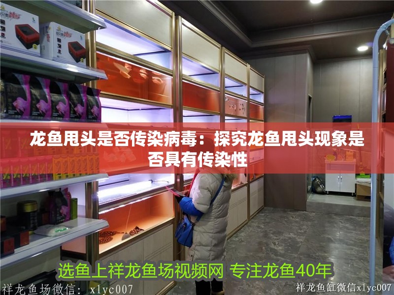 龍魚甩頭是否傳染病毒：探究龍魚甩頭現象是否具有傳染性