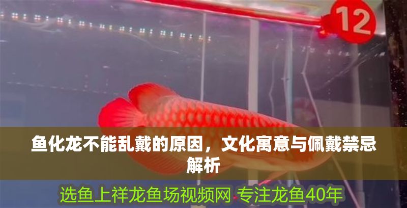 魚化龍不能亂戴的原因，文化寓意與佩戴禁忌解析