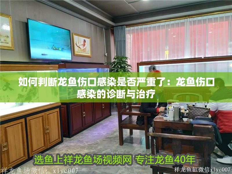 如何判斷龍魚傷口感染是否嚴重了：龍魚傷口感染的診斷與治療