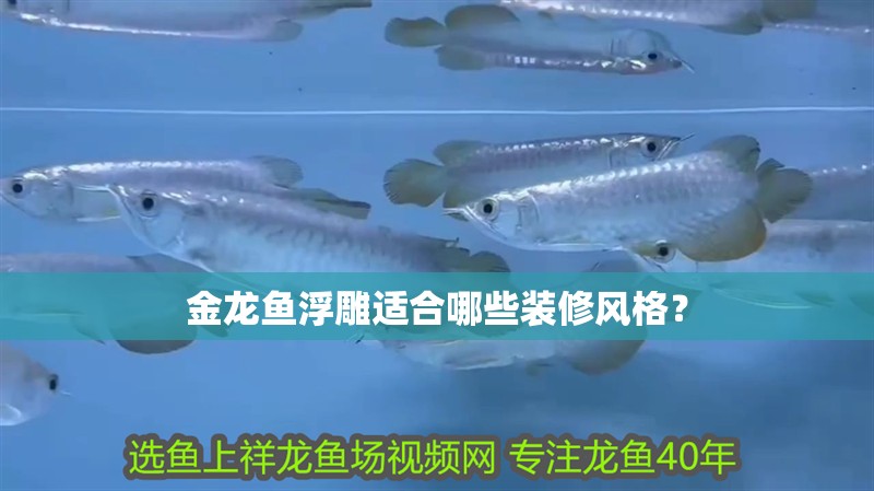 金龍魚浮雕適合哪些裝修風(fēng)格？