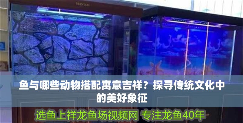 魚與哪些動物搭配寓意吉祥？探尋傳統文化中的美好象征