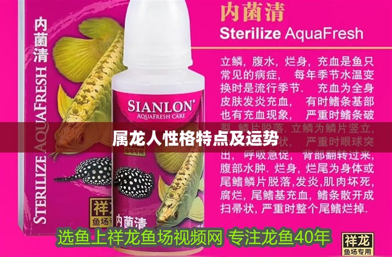 屬龍人性格特點及運勢