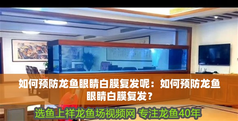 如何預防龍魚眼睛白膜復發呢：如何預防龍魚眼睛白膜復發？