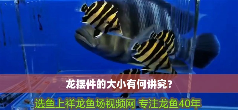 龍擺件的大小有何講究？