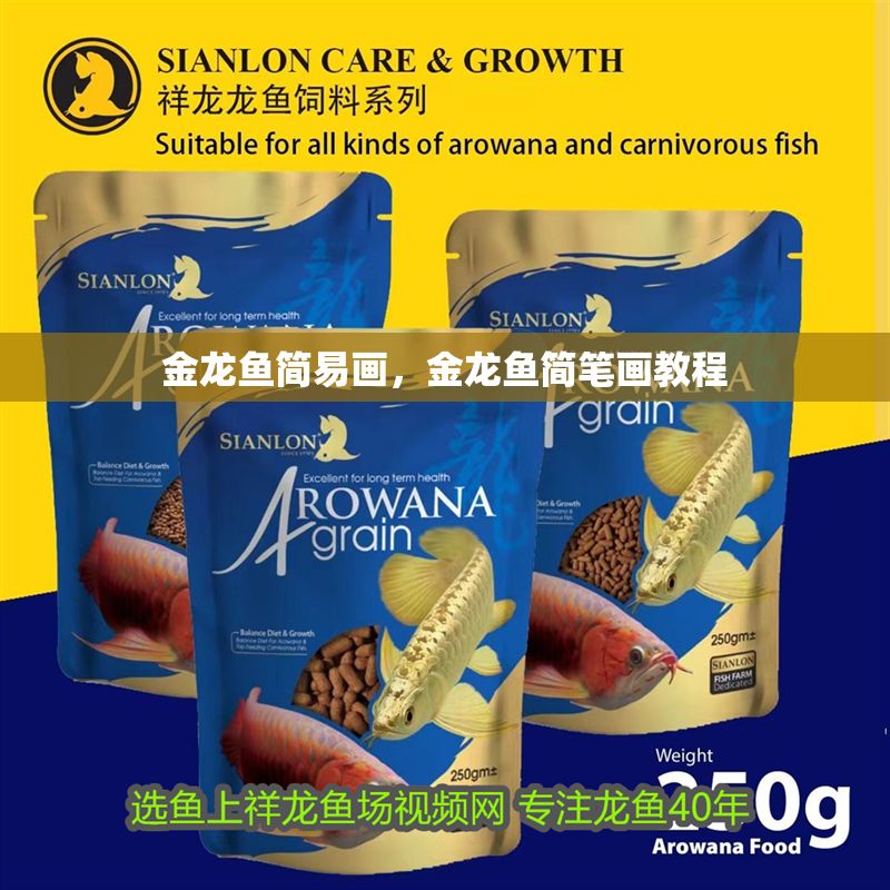 金龍魚簡易畫，金龍魚簡筆畫教程