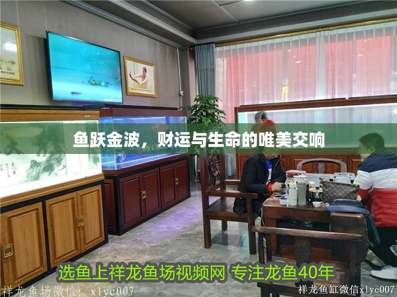 魚躍金波，財運與生命的唯美交響