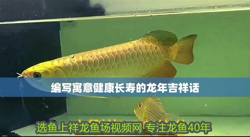龍魚(yú)鰭尾增大的方法：龍魚(yú)鰭尾增大的方法：請(qǐng)注意：怎樣使龍魚(yú)鰭尾增大一些