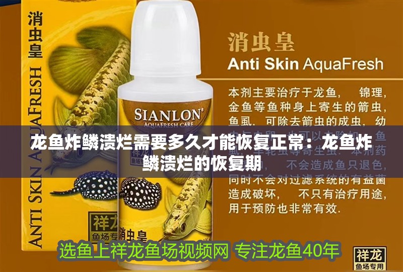 龍魚炸鱗潰爛需要多久才能恢復正常：龍魚炸鱗潰爛的恢復期