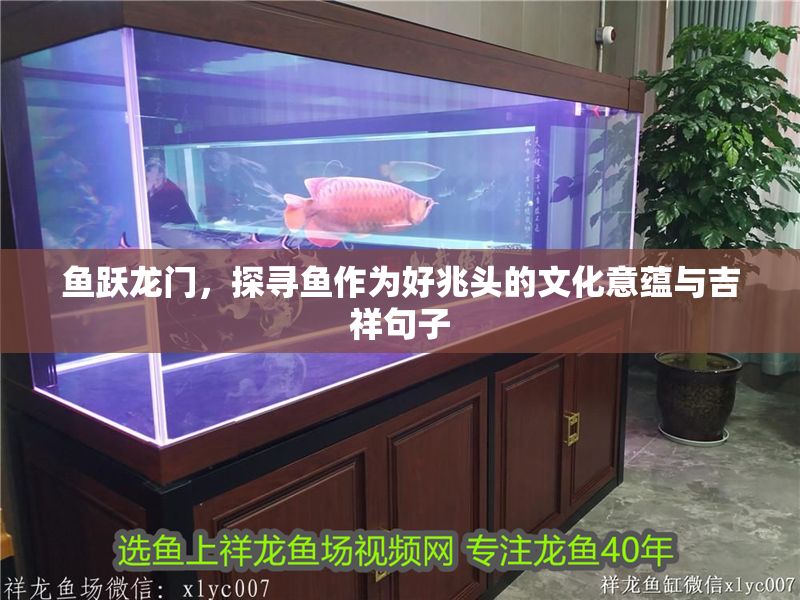 魚躍龍門，探尋魚作為好兆頭的文化意蘊與吉祥句子