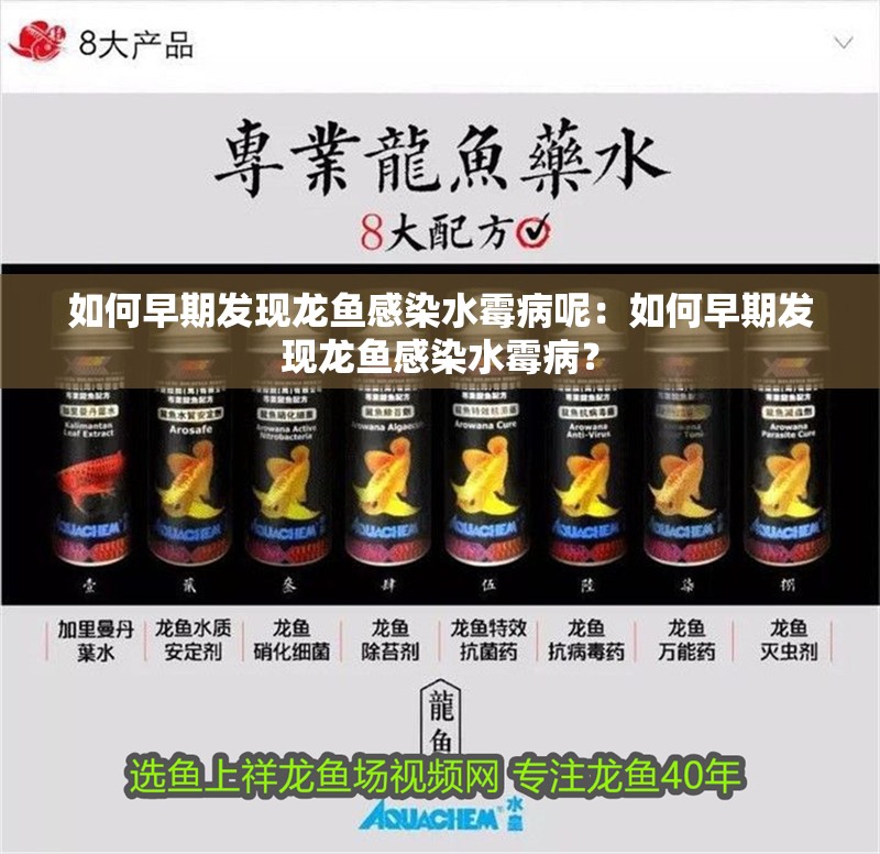 如何早期發現龍魚感染水霉病呢：如何早期發現龍魚感染水霉病？