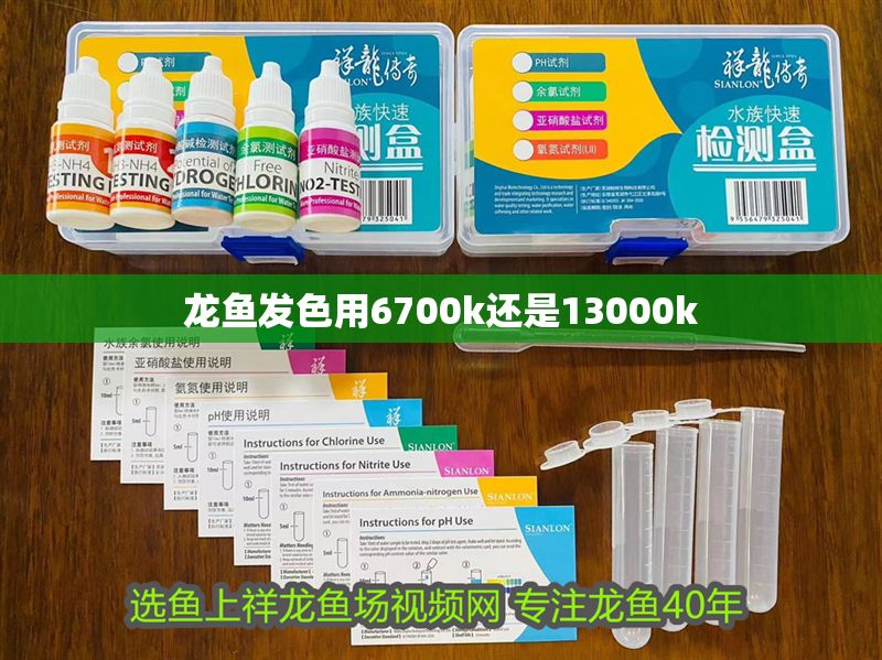 龍魚發色用6700k還是13000k